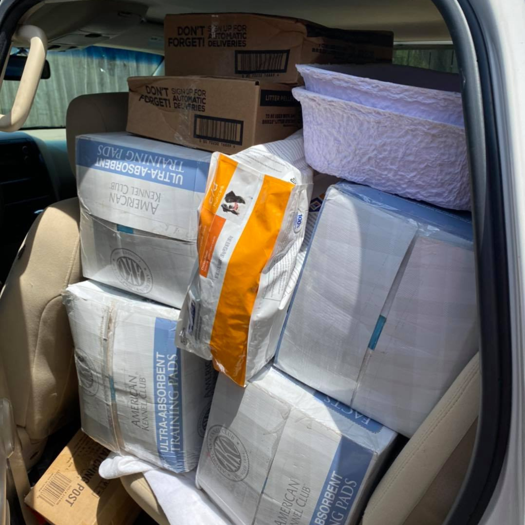 Rescue Relief Discount Warehouse Visit