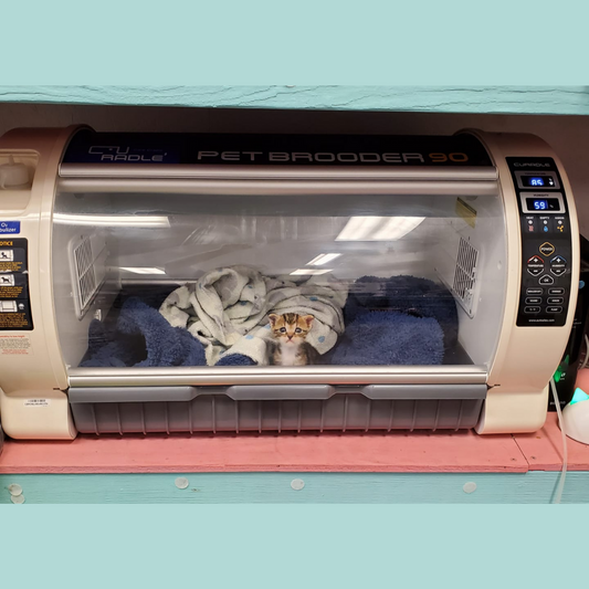 ICU Incubator