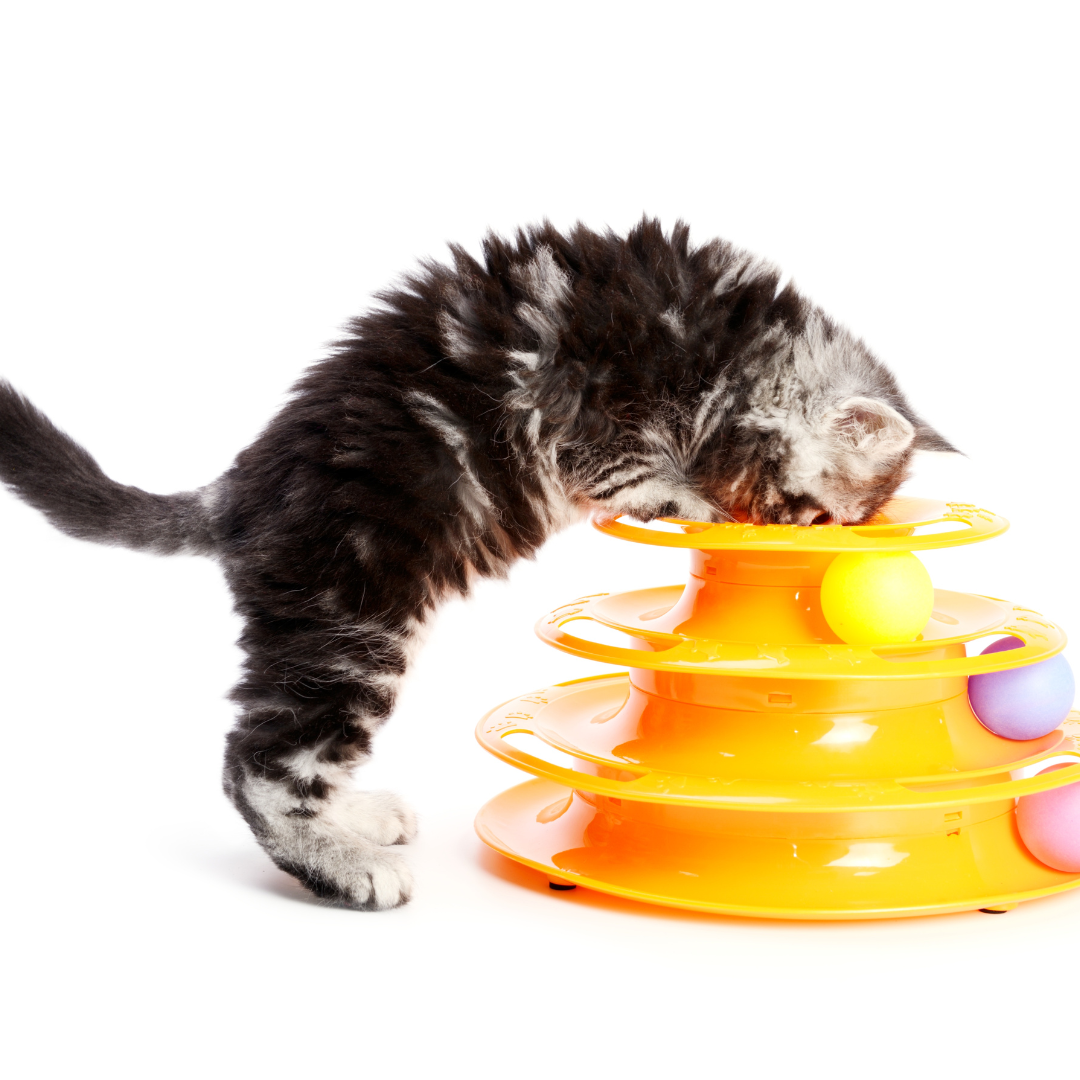 Ball Track Toy