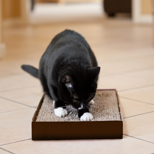 Cat Scratcher