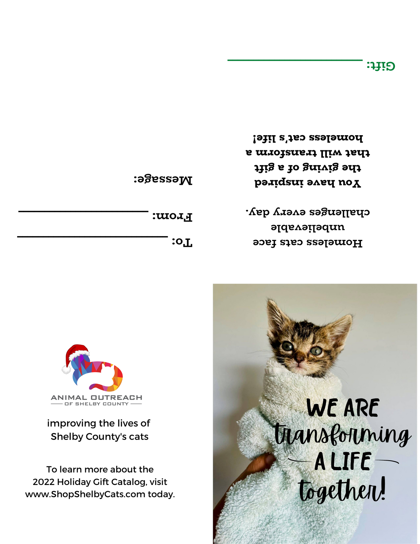 Senior Cat Care