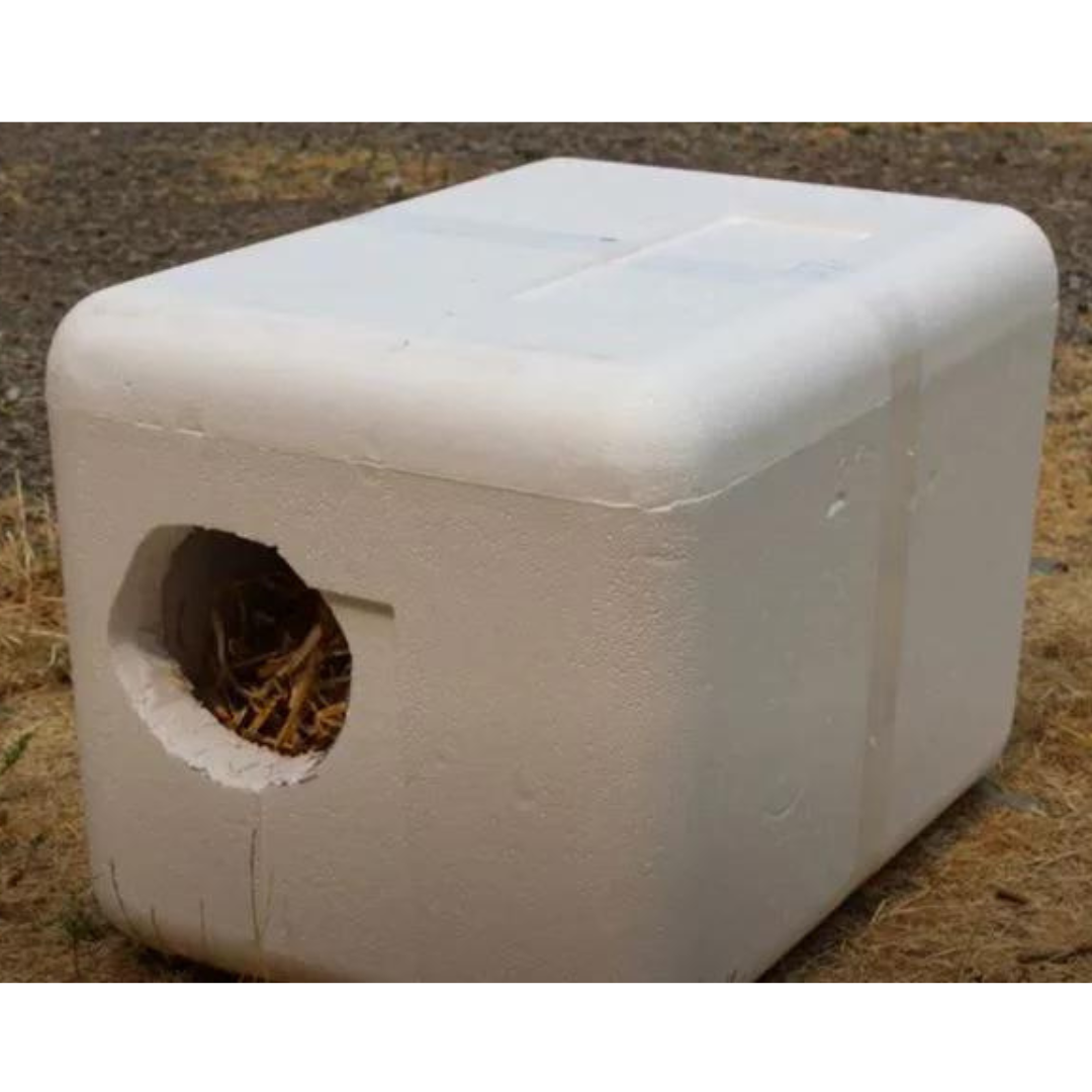 Winter Shelter for an Outside Cat