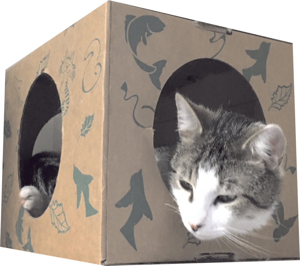 Cat hiding box best sale