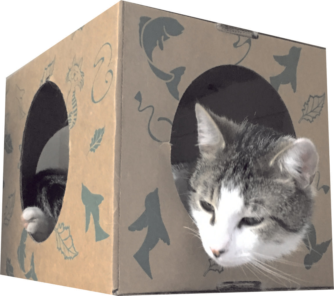 Hidey Box for a Shy Cat